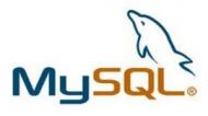 База данных  MySQL